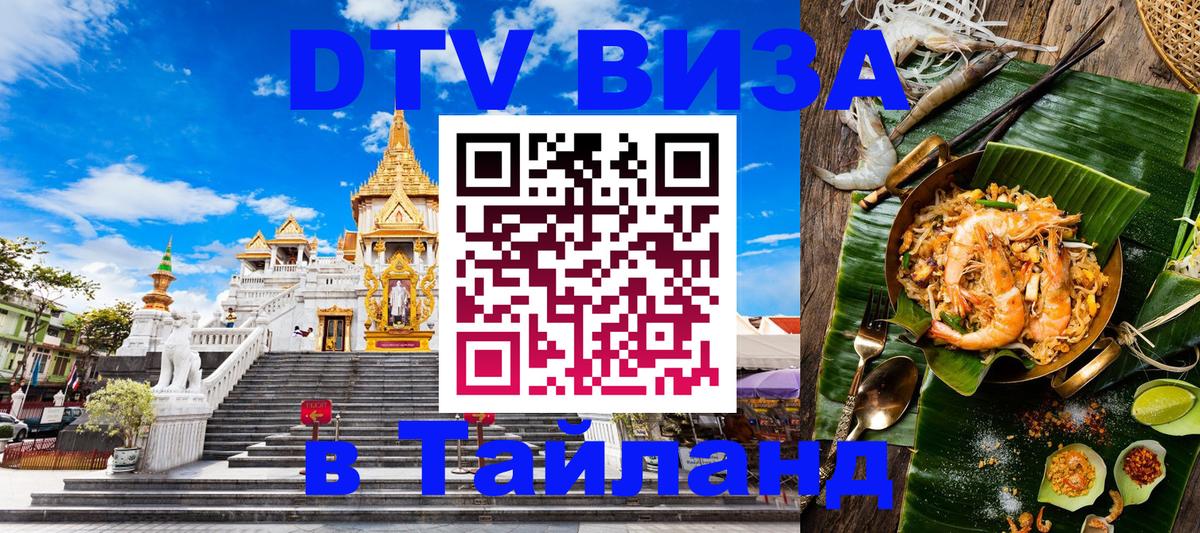 Оформление DTV визы под ключ: стоимость и тарифы, только загранпаспорт - 18.11.2025 